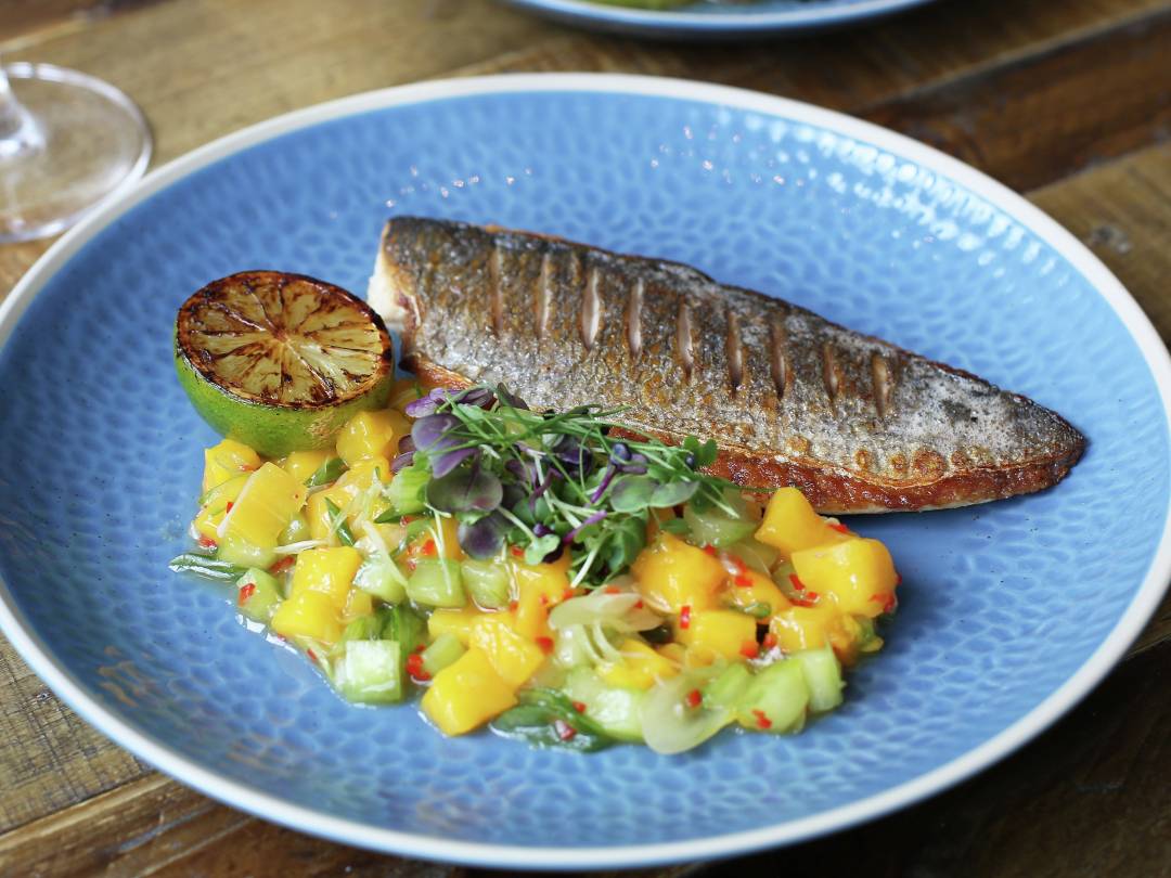 MG Roasted Seabream Mango and Cucumber