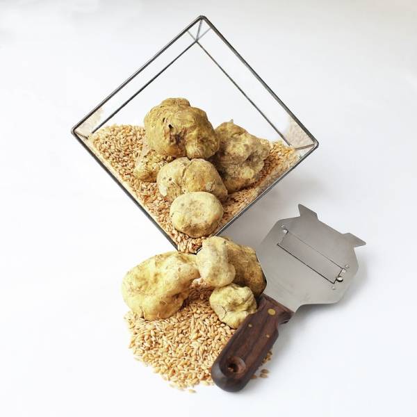 RGR white truffles 800px